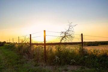 Obraz premium Ranch land wire fence sunset
