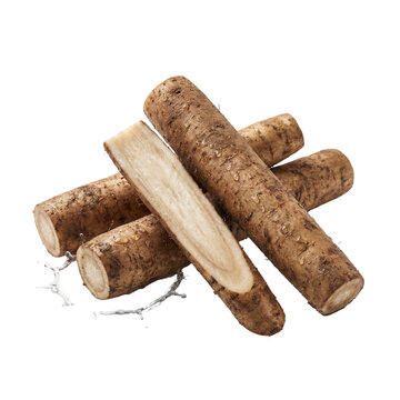 Fresh burdock roots shown whole and cut, revealing fibrous pale interior and earthy skin texture, highlighting rustic root vegetable freshness and natural culinary ingredient.