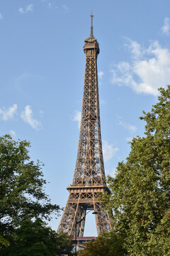 Eiffel Tower Detail Flanked on Both Sides by Trees in Summer - Portrait