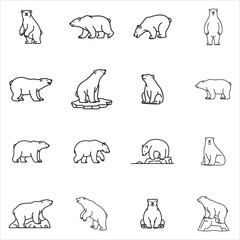 Fototapeta premium Polar Bear Clip Art