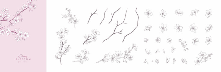 Obraz premium Set of cherry blossoms flowers and brunch. Spring Detailed background with botanic floral elements for Valentines day invitation, wallpaper art or save the date card