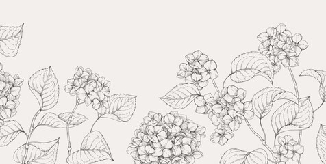 Obraz premium Blooming hydrangea. Spring background with flowers and brunch. Detailed botanic floral collection for Valentines day invitation, wallpaper