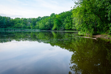 Lush green trees and summer foliage reflect perfectly on the glassy surface of a calm pond at dusk in Waukesha, Wisconsin, during early June.