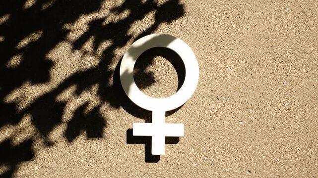 White female gender symbol lies on a textured surface with a dappled tree shadow. It represents feminism, gender equality, and empowerment. Use for International Women's Day campaigns.