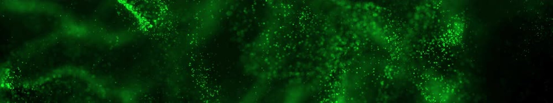 Green Emerald Glitter Dust Waves with Floating Bokeh Particles Background | Panoramic Widescreen Seamless Loop