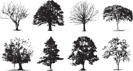 Fototapeta premium Four seasons tree growth cycle illustration set minimalist black white line art nature botanical vector 