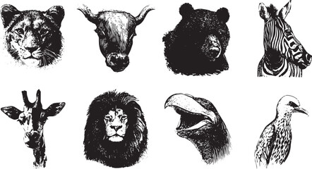 Obraz premium Black and white animal portraits set wildlife illustrations vector collection isolated on white background 