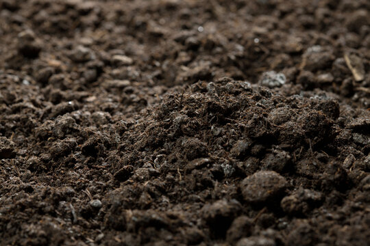 Close-up Rich Dark Soil and Dirt Texture Macro Photography