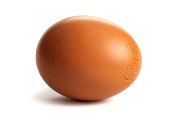 single brown chicken egg isolated on white background