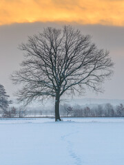 Winter Sonnenaufgang
