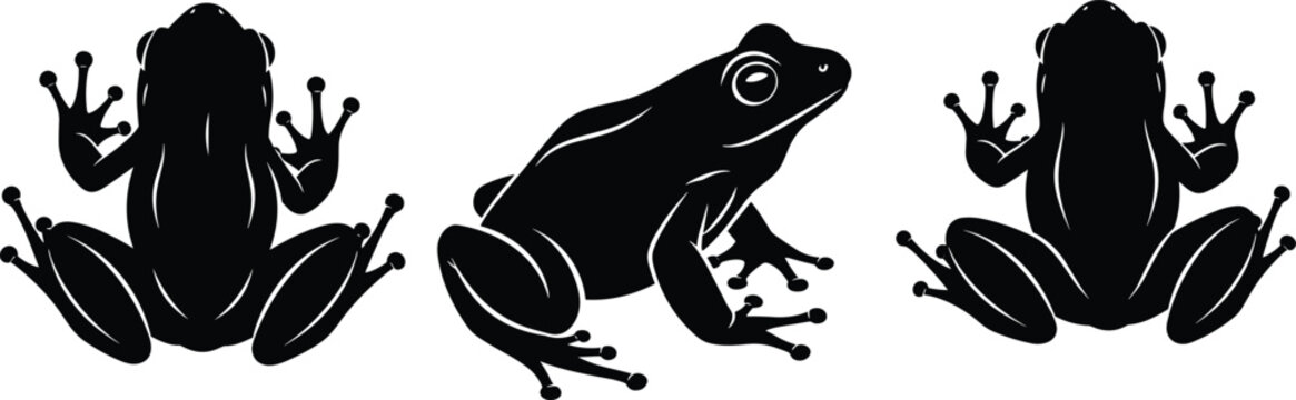 Black Frog Silhouette Set, Vector Tree Frog Icons, Poison Dart Frog Illustration, Amphibian Graphic Design Elements for Logo and Nature Decor