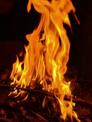 Bright Fire Flame Burning at Night on Dark Background