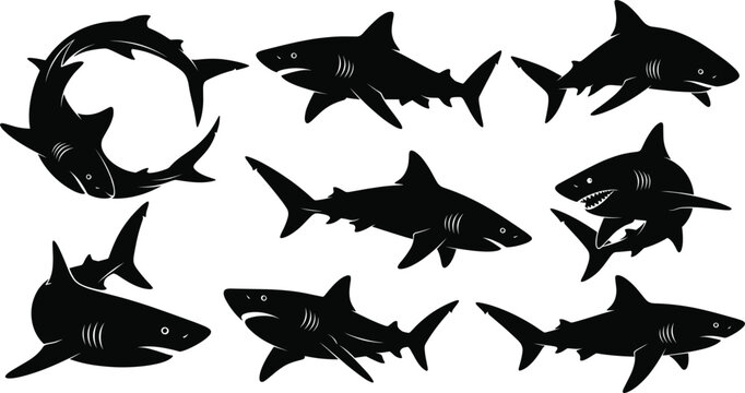 Animal shark silhouette set in dynamic poses vector