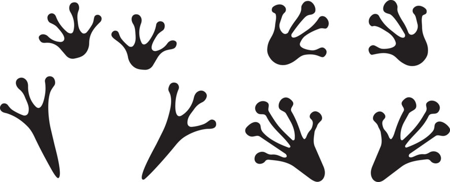 Frog Footprints: A collection of distinct frog footprints, each showcasing the unique webbed feet, perfect for educational content or creative projects.