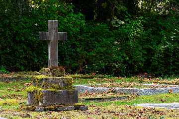 An image of a old stone cross in a long forgotten cemetery on Vancouver Island, Canada.  The stone cross is covered in moss. The inscription is no longer legible. 