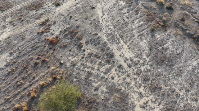Aerial view of a landscape with charred earth and a small patch of green vegetation amidst the grayish terrain
