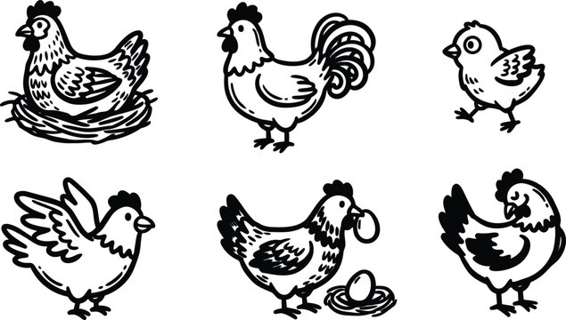 Line art vector set of six farm chicken icons showing hen rooster chick egg nest various poses side view playful rustic illustration detailed black outline hand drawn