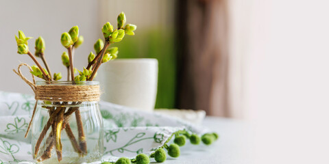 Close-up of spring buds in glass jar with coffee cup and soft fabric
