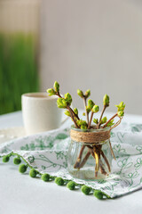 Rustic jar with spring buds on table with coffee cup and fabric