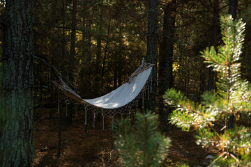 empty hammock hanging between pine trees in a quiet forest. soft calm light filtering through branches creates a peaceful atmosphere of relaxation, solitude and slow living surrounded by nature.