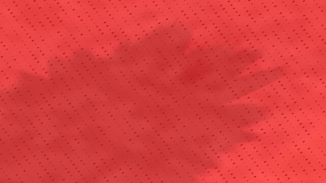 Creating a Gentle Visual Moment in a Soft Red Scene