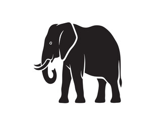 Obraz premium Minimalist elephant silhouette vector illustration