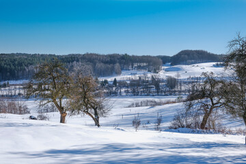 Zimowy krajobraz Kaszub © Aleksandra
