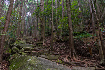 Obraz premium 日本の風景・夏 世界遺産 熊野古道（伊勢路） 松本峠