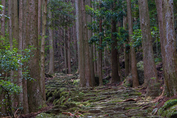 Obraz premium 日本の風景・夏 世界遺産 熊野古道（伊勢路） 松本峠