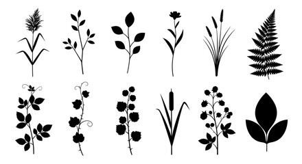 Black silhouettes of various plants and flowers on white background