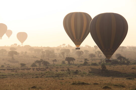 hot air balloonin masai mara