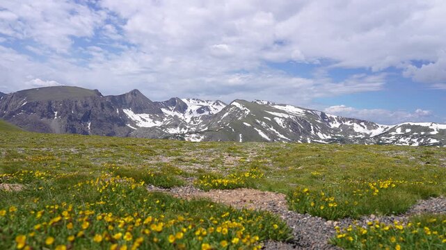 Beautiful scenic view from the top of the Rocky Mountains in Rocky Mountain National Park, Colorado, with small yellow flowers in the foreground