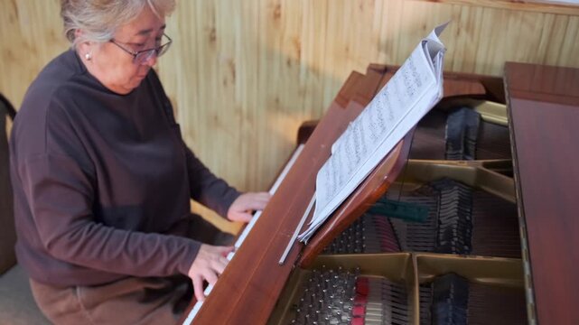 Side perspective of an asian woman performing on the piano. Her expressive hand technique and posture reflect years of practice -  ideal for themes of mastery -  teaching -  and musical dedication.