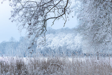 OLYMPUS DIGITAL CAMERA © Ela