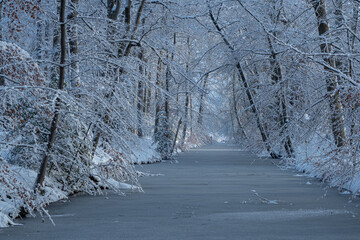 OLYMPUS DIGITAL CAMERA © Ela