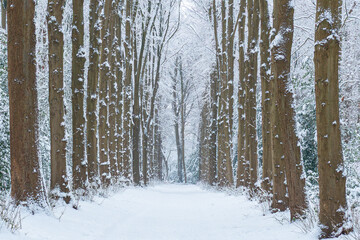 OLYMPUS DIGITAL CAMERA © Ela