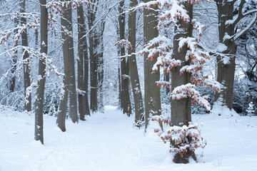 OLYMPUS DIGITAL CAMERA © Ela