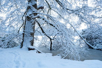 OLYMPUS DIGITAL CAMERA © Ela