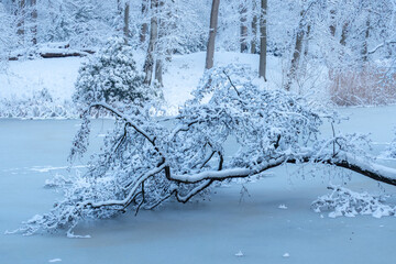 OLYMPUS DIGITAL CAMERA © Ela