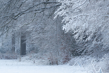 OLYMPUS DIGITAL CAMERA © Ela