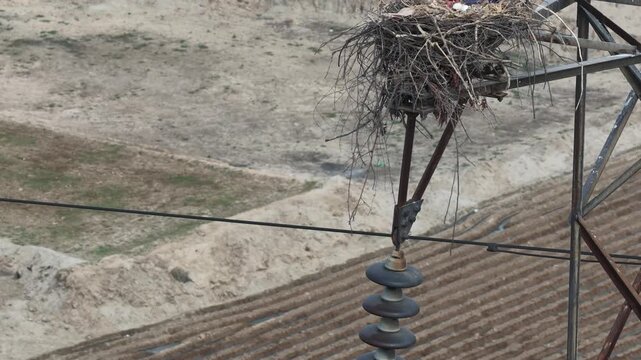 Power lines with insulators and a nest made of twigs resting on top of a metal structure against a light background