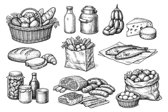 Hand-drawn market selection: fresh produce, dairy, bread, meats, and fish