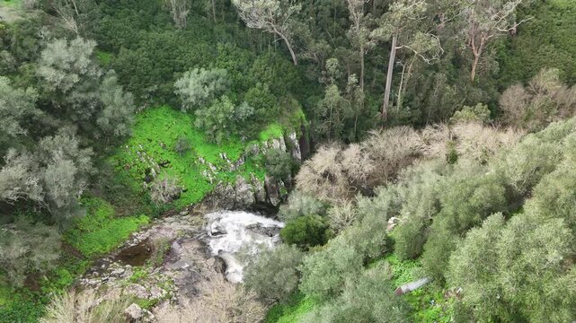 Cascata agua floresta tipico rocha landscape