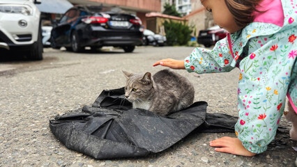 Curious toddler in floral jacket gently touching gray street cat on urban pavement, showing kindness, safety awareness, animal care, family lifestyle and childhood empathy concept