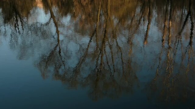 Cinematic footage of spring trees reflected in water, captured in an impressionistic style. Gentle ripples move across the surface, transforming the reflection into soft, abstract shapes and flowing 