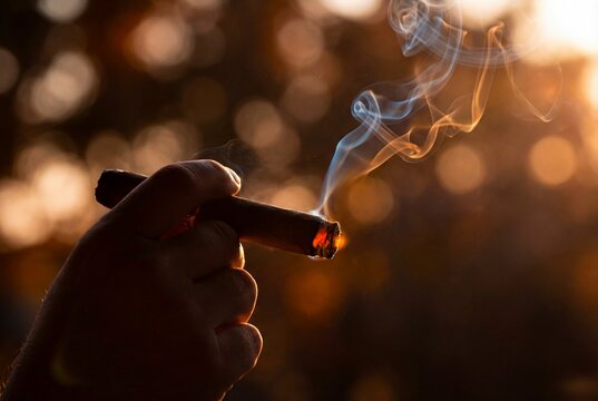 Man hand holding burning cigar with smoke on sunset background