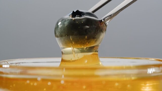 Honey macro, Tasty blue cheese with rosemary, honey and walnuts on white table, close up of Dorblu in cafe pouring in honey.