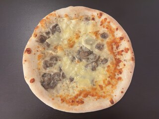 pizza on a white background
