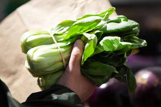 Leafy green vegetables fresh from the farm.