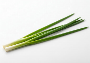Boiled Chive ., on sold white background